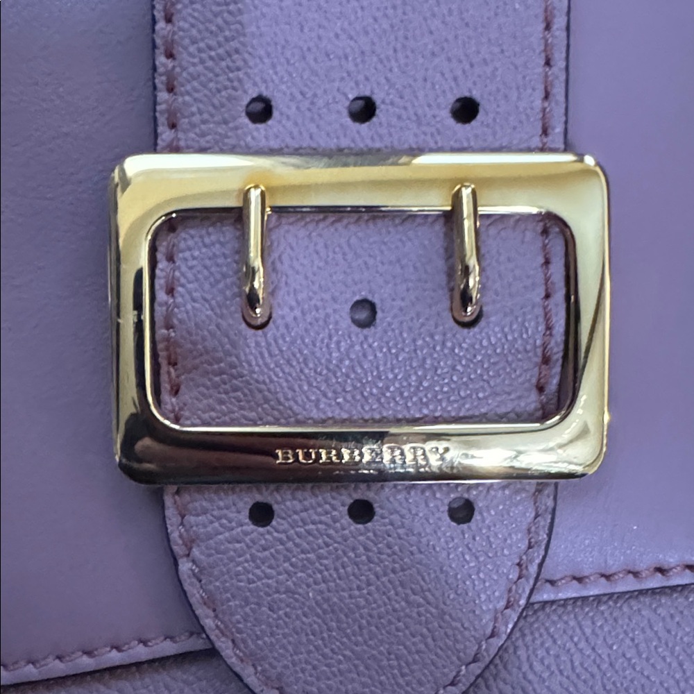Burberry Dusty Pink Leather Crossbody Bag Gold Hardware - Picture 3 of 15